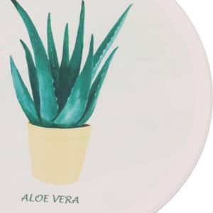 A coasters featuring a green aloe vera plant in a yellow pot, with a light background. It has a logo.