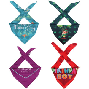 Four triangle pet bandanas in teal, dark green, purple, and red, each featuring different designs. One has a logo.