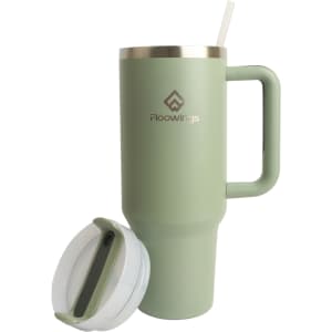 A drink bottle in light green with a stainless steel lid and straw, featuring a handle and a logo.