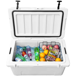 A 65L white cooler box filled with ice, drinks, fruits, and snacks, featuring a wire basket.