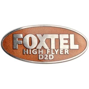 A hard enamel pin in oval shape featuring a bronze and silver design with a logo and text.