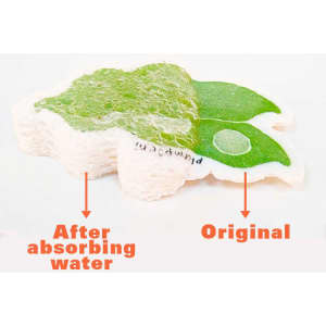 A custom expandable dishwashing sponge in green and white, showing its expanded form after absorbing water.