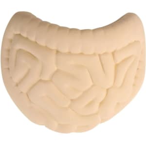 A beige intestines-shaped stress reliever with textured details, featuring a logo on one side.