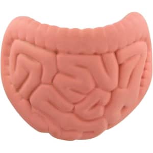 A pink intestines-shaped stress reliever with textured details, designed for fun and relaxation.