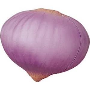 A purple onion-shaped stress reliever with a smooth finish, featuring a subtle gradient. It includes a logo.