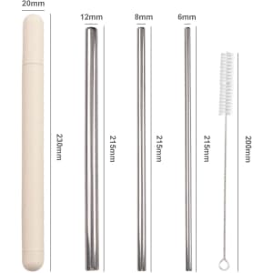 A straw set featuring four stainless steel straws in various sizes, with a cleaning brush and a light-coloured case.