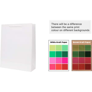 A medium vertical paper bag in white with a fabric flat handle, accompanied by colour swatches for printing options.