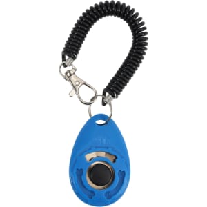 A blue pet training clicker attached to a black coiled lanyard with a clasp.
