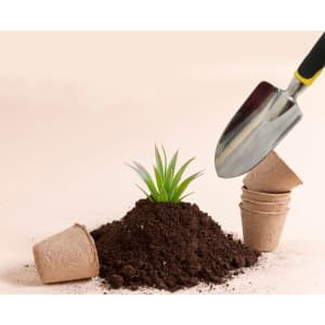 A garden hand tool set featuring a shiny metal trowel, with a potted plant and soil in the background.