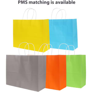 A collection of colourful kraft paper bags in yellow, blue, grey, red, and green with twisted handles.
