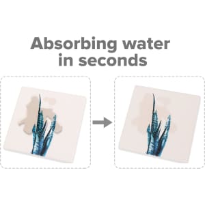 A square coaster with a plant design, featuring a water-absorbent surface. The background is light, with blue and green accents.