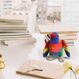 A colourful plush lorikeet toy with blue wings and a red breast, placed among books and stationery on a table.