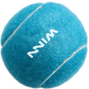 A blue pet tennis ball with white stripes and a logo displayed on it.