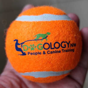 An orange fetch ball with white stripes and a logo featuring a dog.