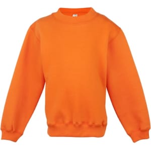 An orange crew neck jumper with long sleeves and a fitted hem. It features a label inside the collar.