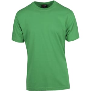A green modern fit unisex T-shirt with a round neck and short sleeves. It has a label inside.