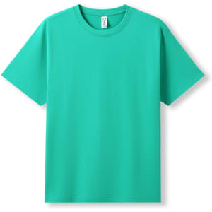 A turquoise modern fit t-shirt with a classic crew neckline and short sleeves. It features a branding label.