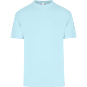 A light blue unisex regular T-shirt featuring short sleeves and a simple design. It has a logo on the label.