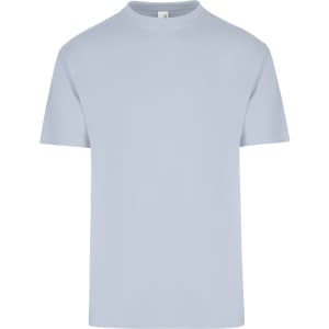 A light blue men's/unisex regular T-shirt with short sleeves and a plain design. Features a logo on the neckline.
