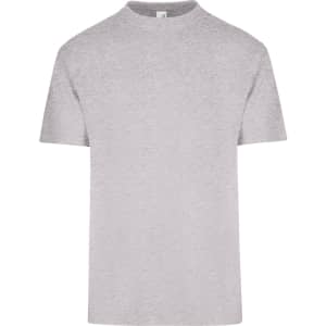 A grey unisex regular T-shirt with a simple design and short sleeves. It has a logo on the label.