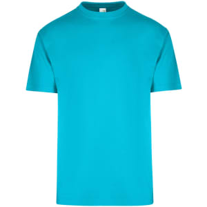 A turquoise unisex regular T-shirt with a crew neck and short sleeves. It features a simple design with a logo.