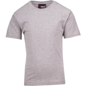 A grey kid's regular T-shirt with short sleeves and a logo on the neckline.