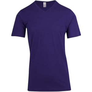 A purple men's/unisex raw cotton wave v-neck t-shirt with short sleeves. It features a logo on the tag.