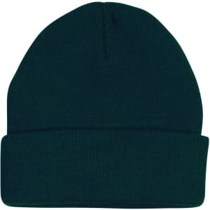 A green acrylic beanie with a rolled cuff and a seamless design. It features a logo on the side.