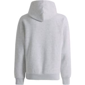 A grey unisex premium fleece oversized hoodie with a hood and ribbed cuffs. The back view shows its relaxed fit and softness.