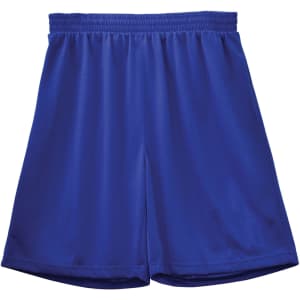 Royal blue adults' basketball shorts featuring a comfortable elasticated waistband and a logo.