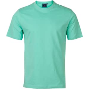 A men's cotton semi-fitted tee in a mint green colour, featuring short sleeves and a round neck. It has a logo.