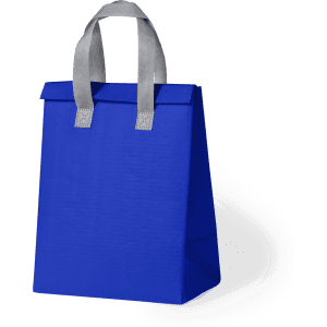 A blue cooler bag with grey handles, featuring a simple design and no visible branding.