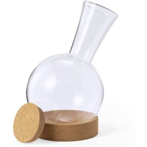 A glass wine decanter with a round body and cork base, clear in colour with a minimalist design.