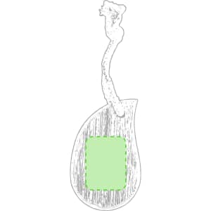 A face cleansing brush with a rounded, ergonomic design featuring a textured handle and a green cleaning area.