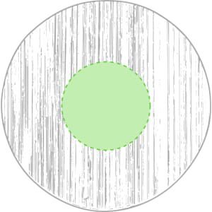 A circular object with a textured exterior and a solid green circle in the centre.