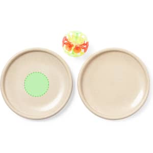 Two beige plates with a green circle on one and a colourful ball in the centre.