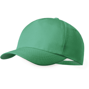 A green cap with a curved brim and an adjustable strap at the back. It features a logo on the front.