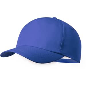 A blue cap with a curved brim and a back strap, featuring a logo on the side.