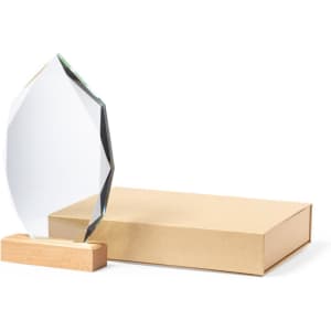 A clear crystal award with a wooden base, displayed beside a plain brown box.