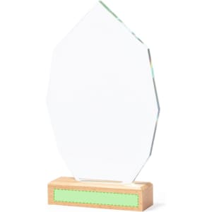 A clear, geometric award plaque mounted on a wooden base, featuring a subtle green accent.