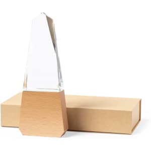 A clear glass plaque with a wooden base, resting on a brown box. The plaque has a pointed, abstract shape.