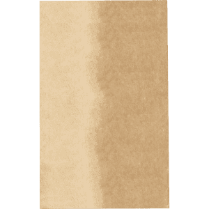 A brown paper bag with a textured finish and a simple design. It features a logo at the top.