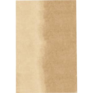 A tan paper bag with a smooth surface and a subtle gradient effect. It features a logo.