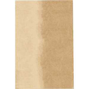 A plain, brown paper bag with a textured surface. The bag features a simple design and has a logo.