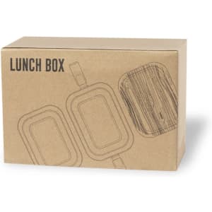 A brown cardboard box containing a lunch box design, featuring two styles of rectangular containers and a logo.