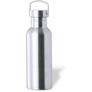 A drink bottle in stainless steel with a screw-top lid and carry handle. It has a sleek, metallic finish.