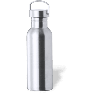 A drink bottle in stainless steel with a sleek, cylindrical shape and a secure screw-top lid. It features a carry handle.