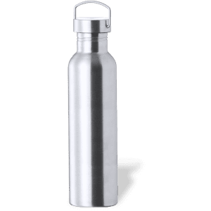 A drink bottle in silver stainless steel with a screw-top lid and a handle. It has a simple, sleek design.