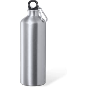A drink bottle in a sleek silver finish, featuring a carabiner clip and a rounded design.