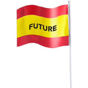 A red and yellow pennant flag featuring the word "FUTURE," mounted on a white pole.